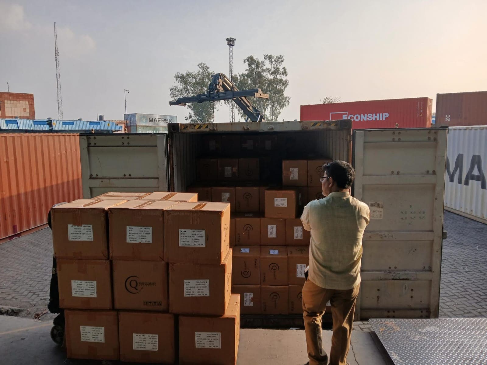 Palletised cartons, ready to load
